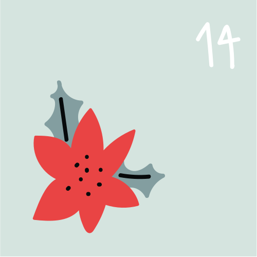 door-#11 : Aliyah Boston