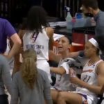 WNBA Diana Taurasi Skylar